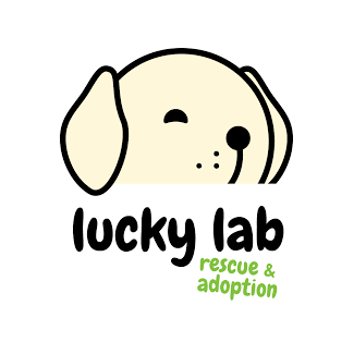 Lucky Lab logo